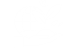 草莓视频黄色网站电缆